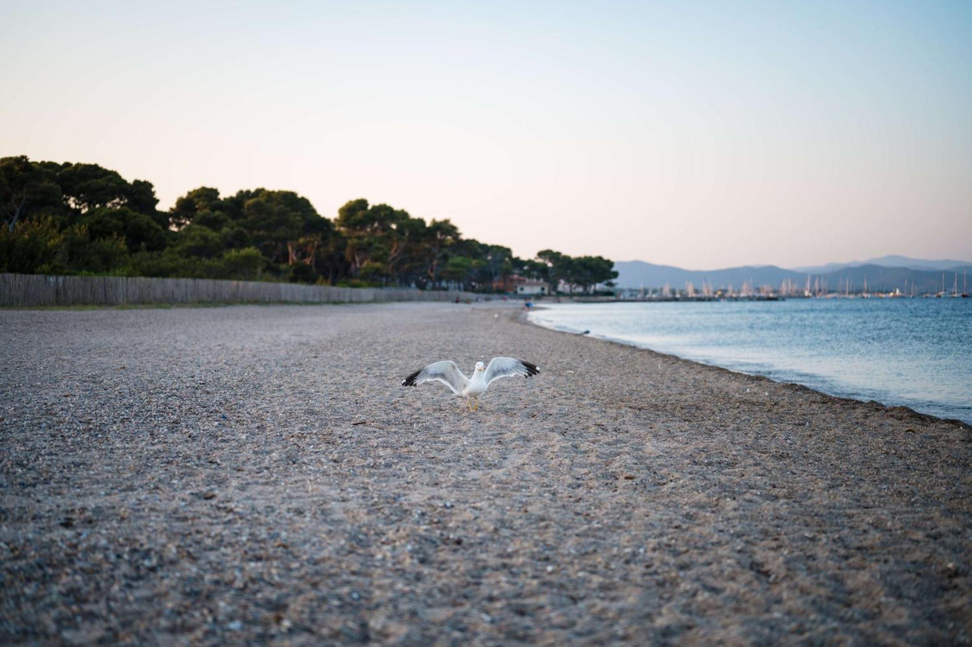 Le Hameau Des Pesquiers Ecolodge & Spa, Curio Collection By Hilton Hyeres Exterior photo